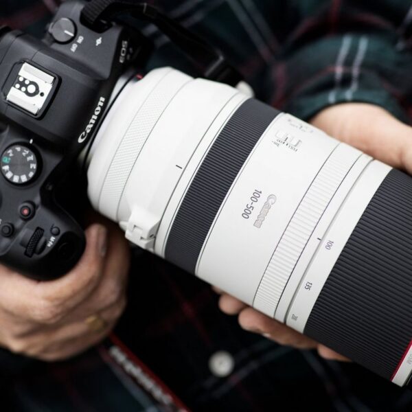 Canon RF 100-500mm f/4.5-7.1 L IS USM