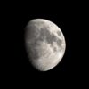 Canon RF 100-500mm f/4.5-7.1 L IS USM