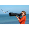Nikon NIKKOR Z 800mm f/6.3 VR S