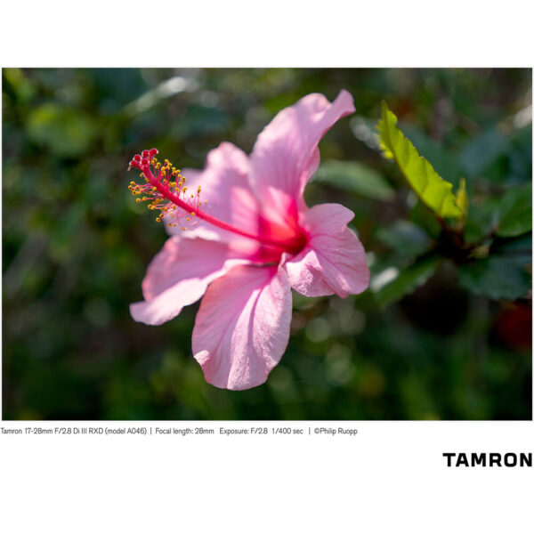 Tamron 17-28mm f/2.8 Di III RXD