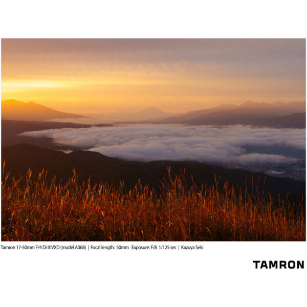 Tamron 17-50mm f/4 Di III VXD