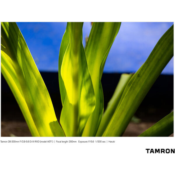 Tamron 28-200mm f/2.8-5.6 Di III RXD