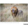 Tamron 150-600mm f/5-6.3 DI VC USD G2