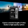 Memoria SDXC Lexar Silver Pro 256Gb Clase 10 V60