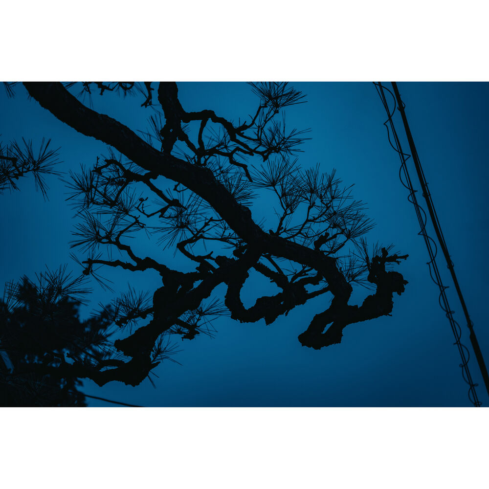 Sigma-17-40mm-f1.8-DC-Art-7 Sigma 17-40mm f/1.8 DC Art