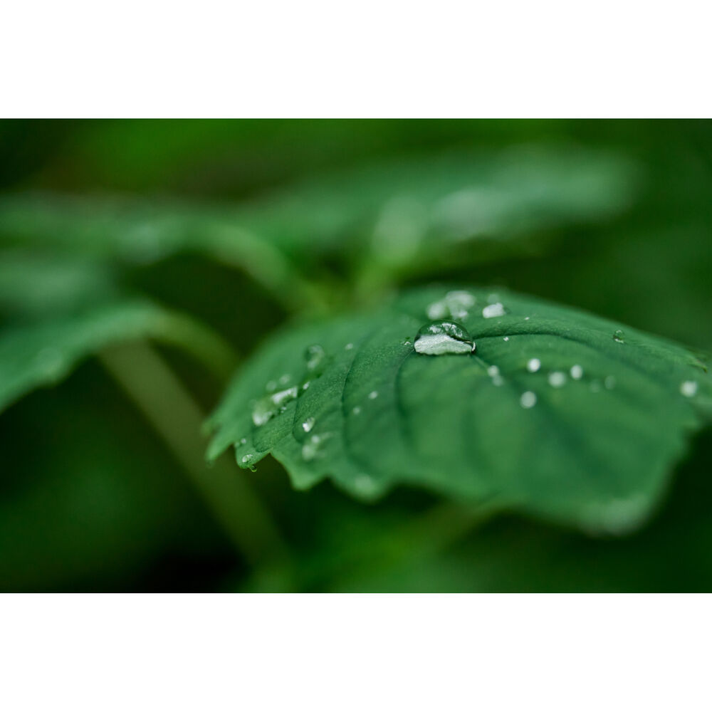 Sigma-20-200mm-f3.5-6.3-DG-Contemporary-7 Sigma 20-200mm f/3.5-6.3 DG Contemporary